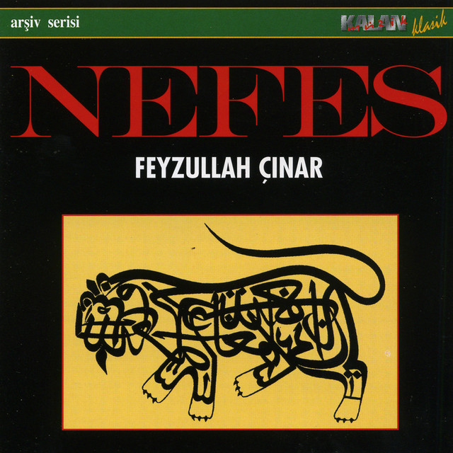 Feyzullah Çınar